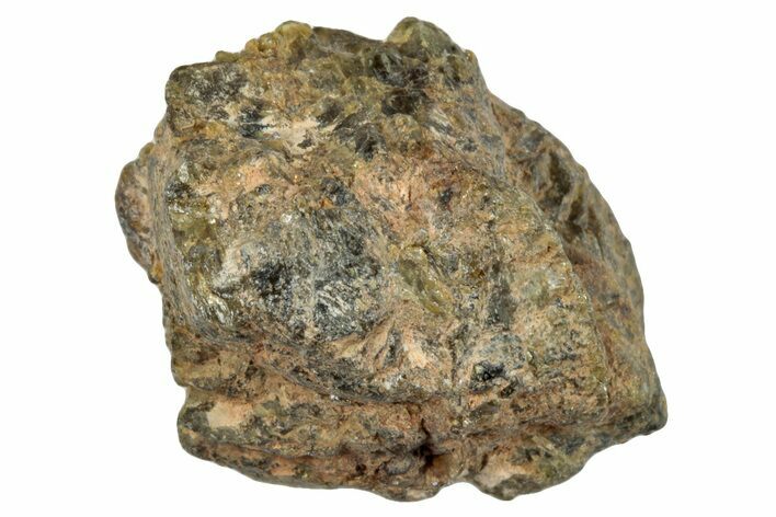 Diogenite Meteorite ( g) - From Vesta Micro-Planet #281060